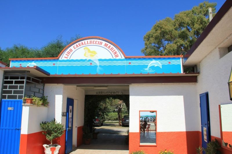 Lido Cavalluccio Marino - 5