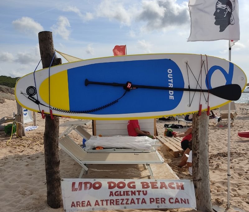 Lido Dog Beach - 5