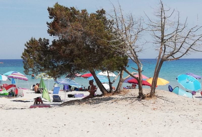 Cala Ginepro - Orosei