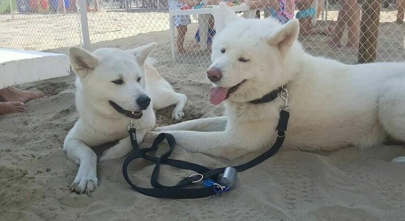 Bagno Imperiale 33 Bis - 2