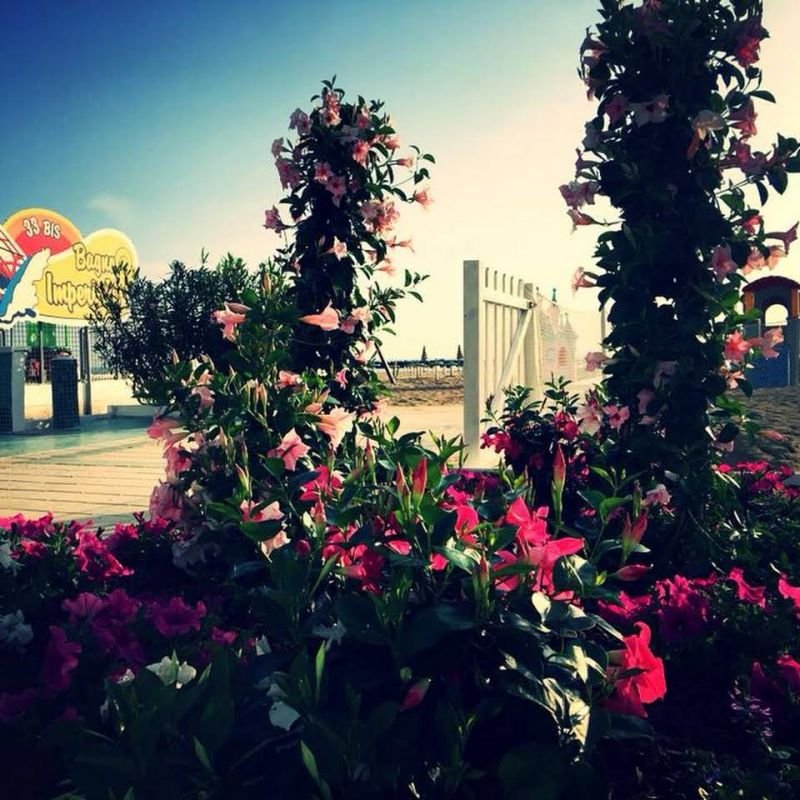 Bagno Imperiale 33 Bis - 4