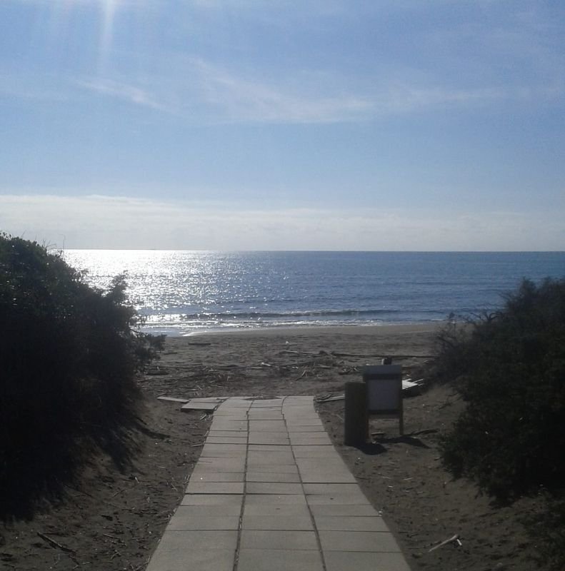 La Pineta Blu Dog Beach - 4