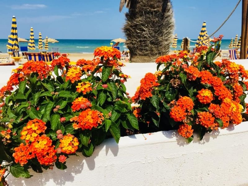 Lido Poseidon - 5