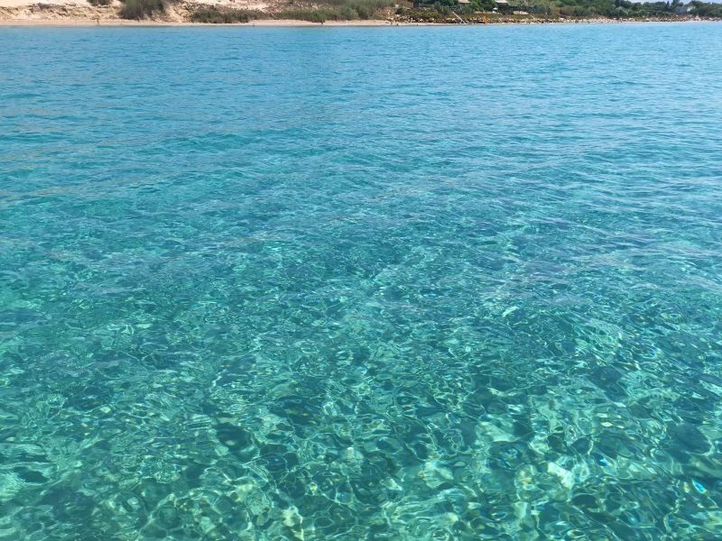 Harundo Mare - 4