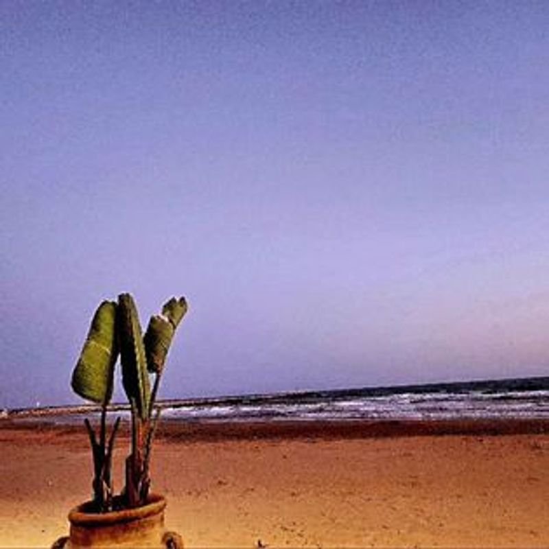 SABIR Beach Club - 2