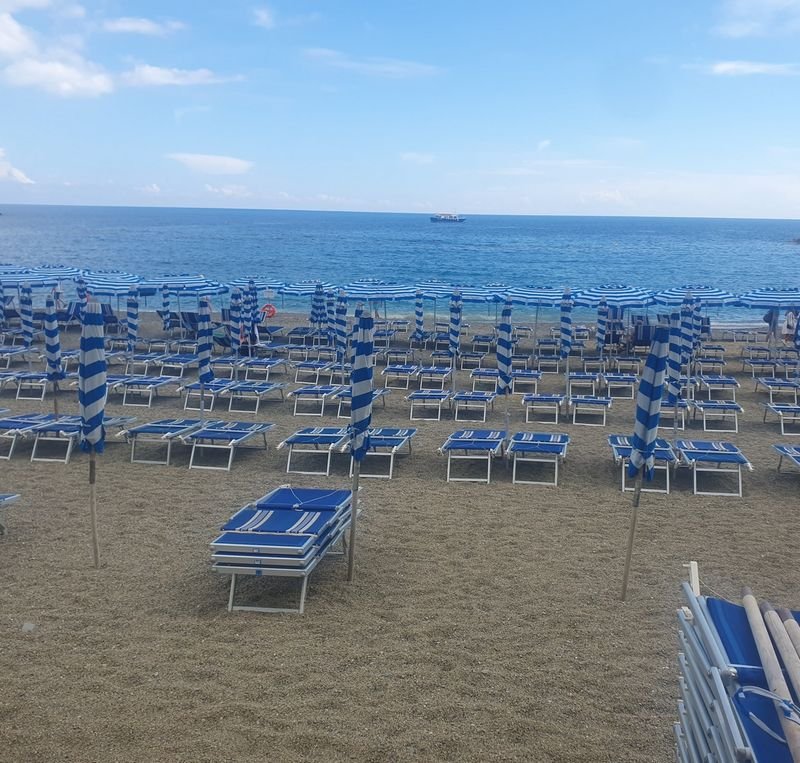 Mare Service