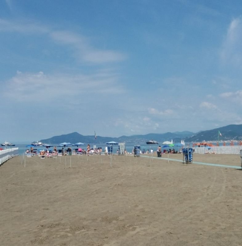 Mare Service - 5
