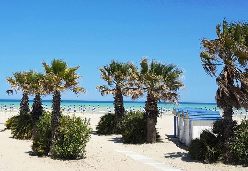 Hotel Royal - Giulianova