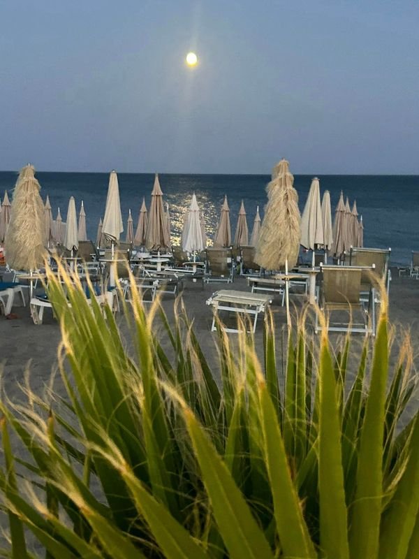 Coco Beach - 5