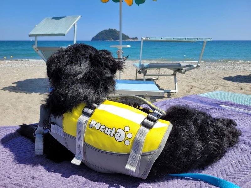 La Spiaggia di Balto