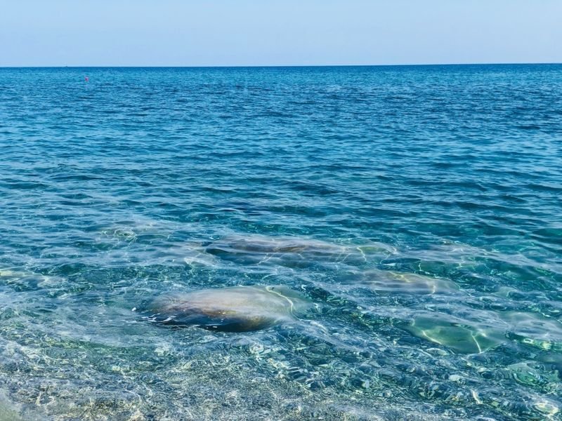 MoMa Beach Club - 4