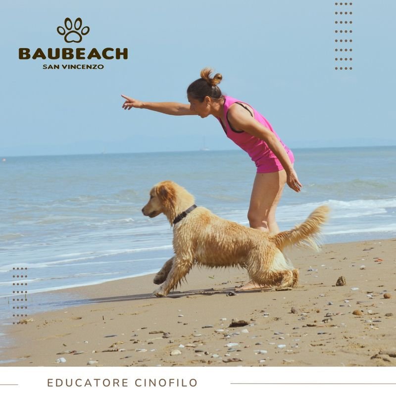 BauBeach - 3