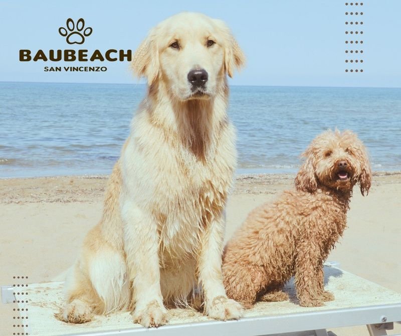 BauBeach - 5