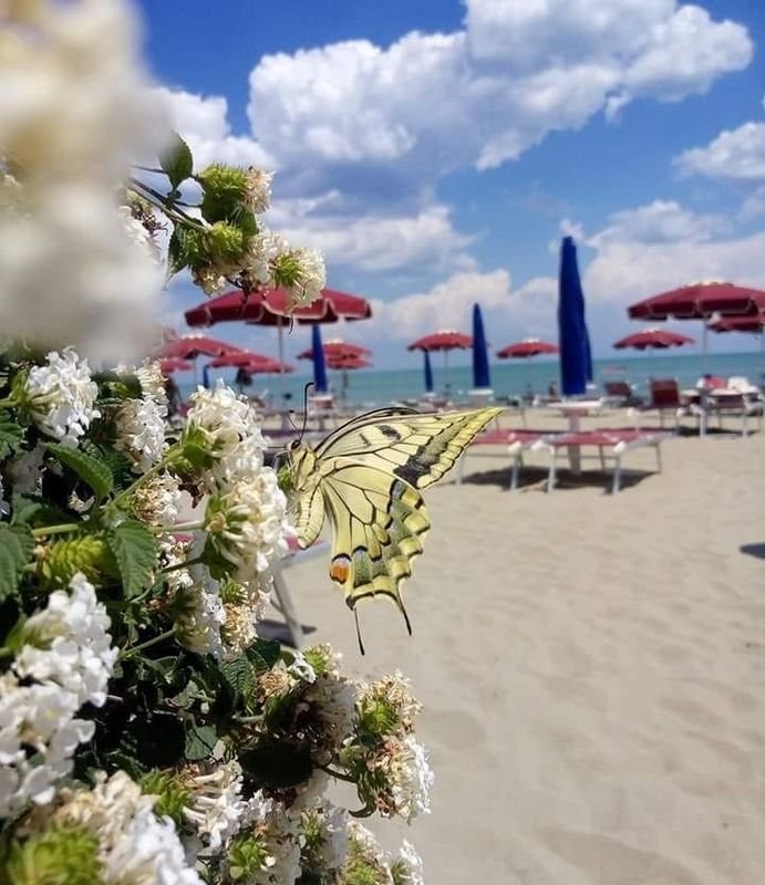 Lido l'Oasi Beach Club - San Basilio