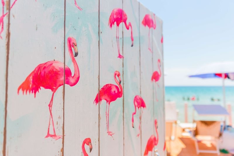 Flamingo Beach Club - 5