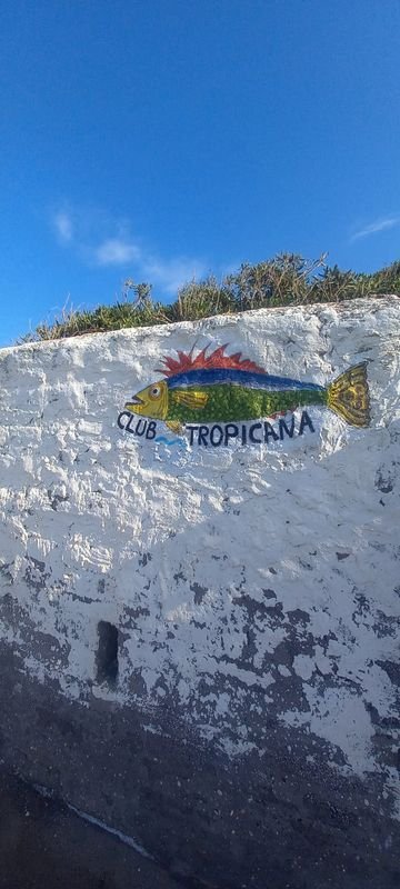 Club Tropicana - 3
