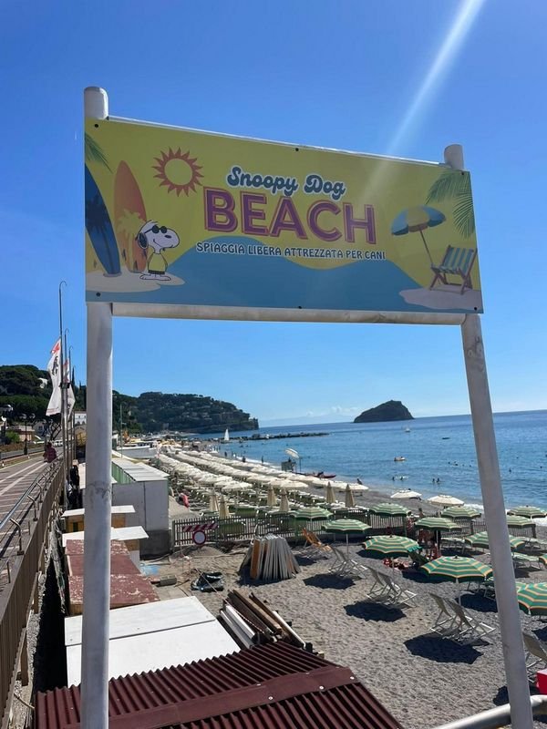 Snoopy Dog Beach - Spotorno