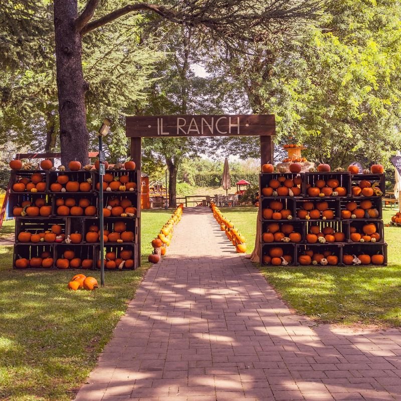 Il Ranch Pumpkin Patch - 2