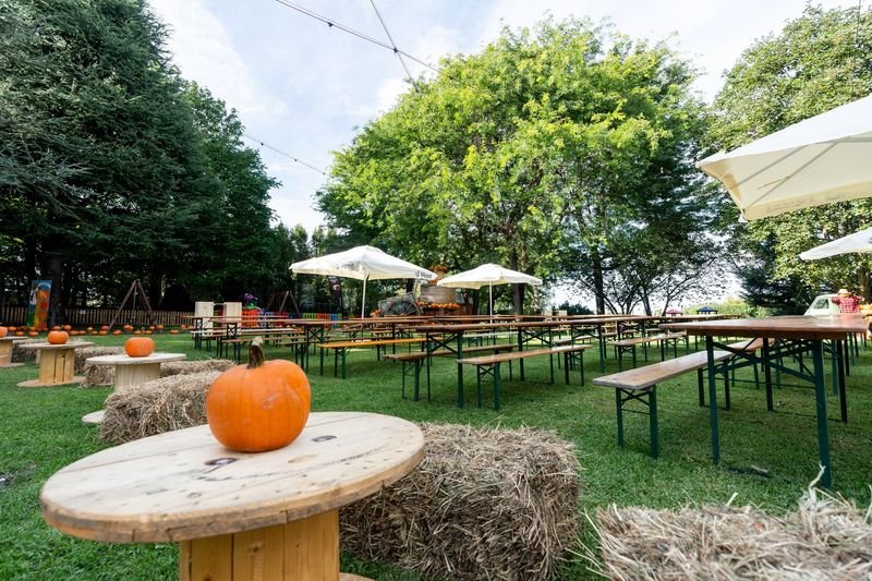 Il Ranch Pumpkin Patch - 4