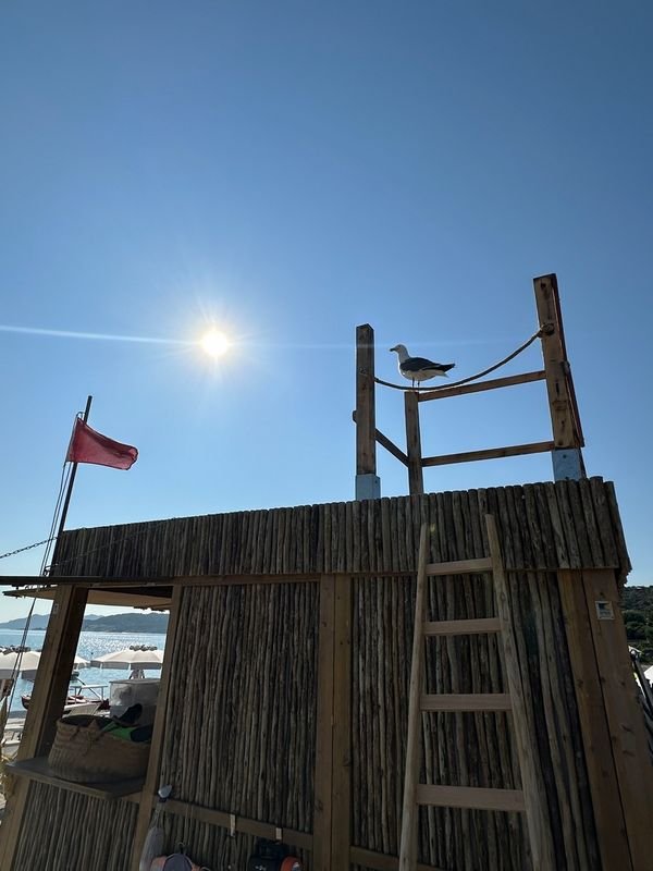 Giorgia Beach - 4