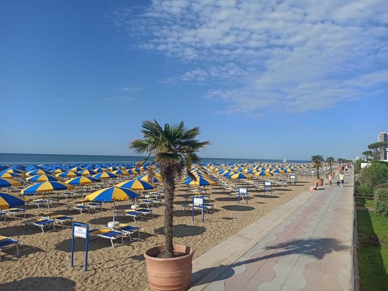 Consorzio Lido Solemare - Lato Pineta - 3