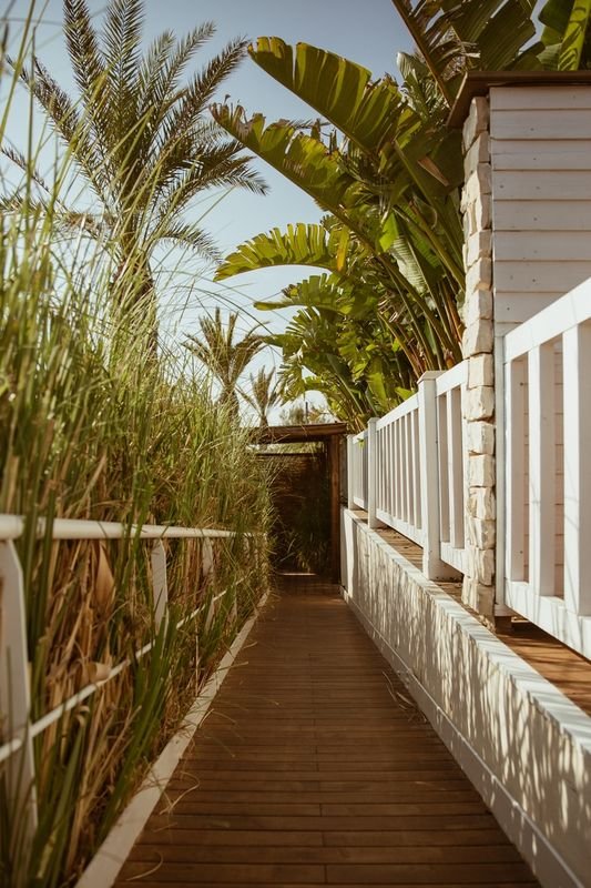 Cumeja Beach Club - 3