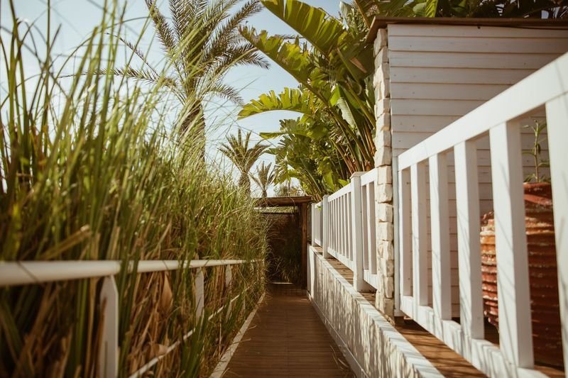 Cumeja Beach Club - 4