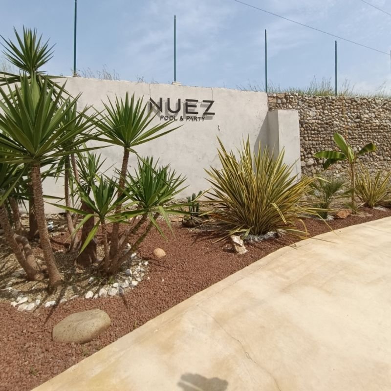 Nuez Pool & Party - 4