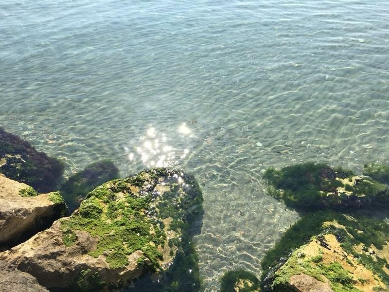 Ghibli Beach 63-64-65 - 3