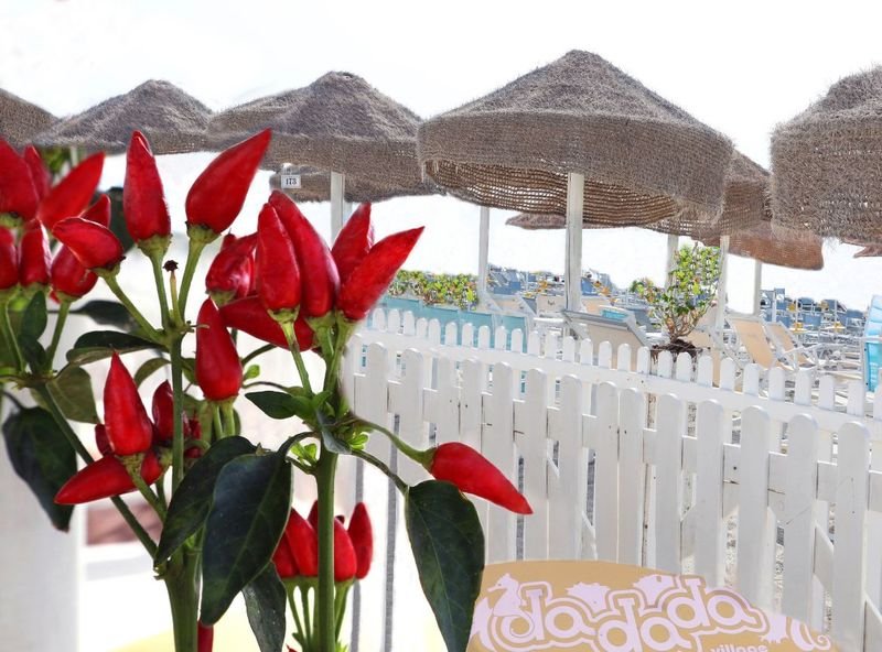 Dadada Beach Village - 4