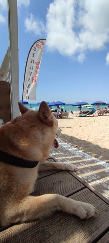 Stravizio Beach - 3