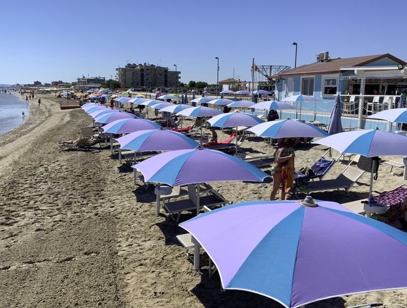 Islamorada Dog Beach