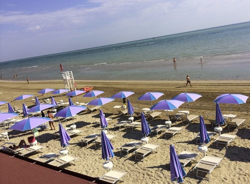 Islamorada Dog Beach - 2