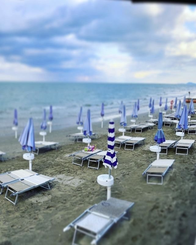 Islamorada Dog Beach - 5