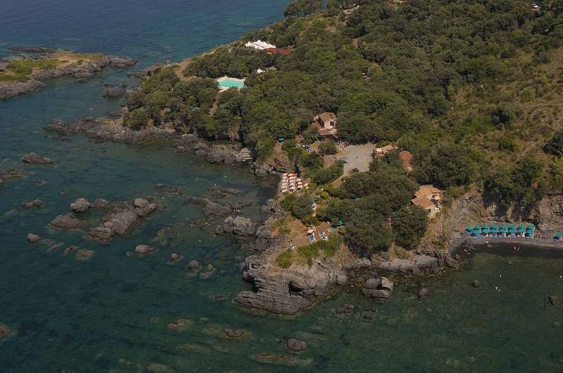 Illicini - 3