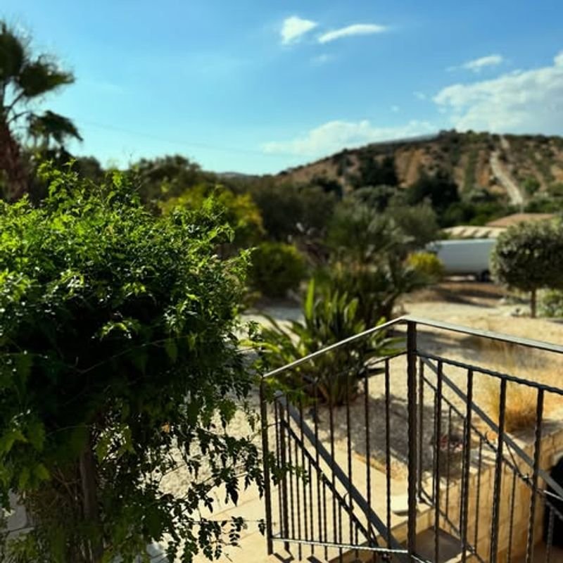 La Casa di Bacco - 5