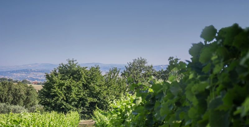 Il Mulino della Signora Luxury Country House - Sturno
