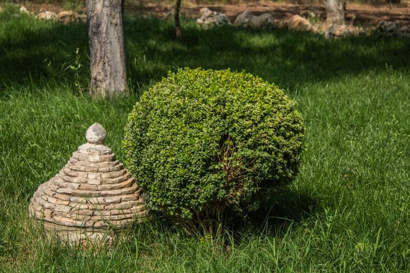 Tenuta Giannini Piscine - 5