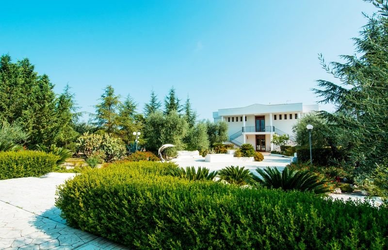 Garden Of Olives - 3