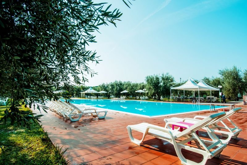 Garden Of Olives - 5