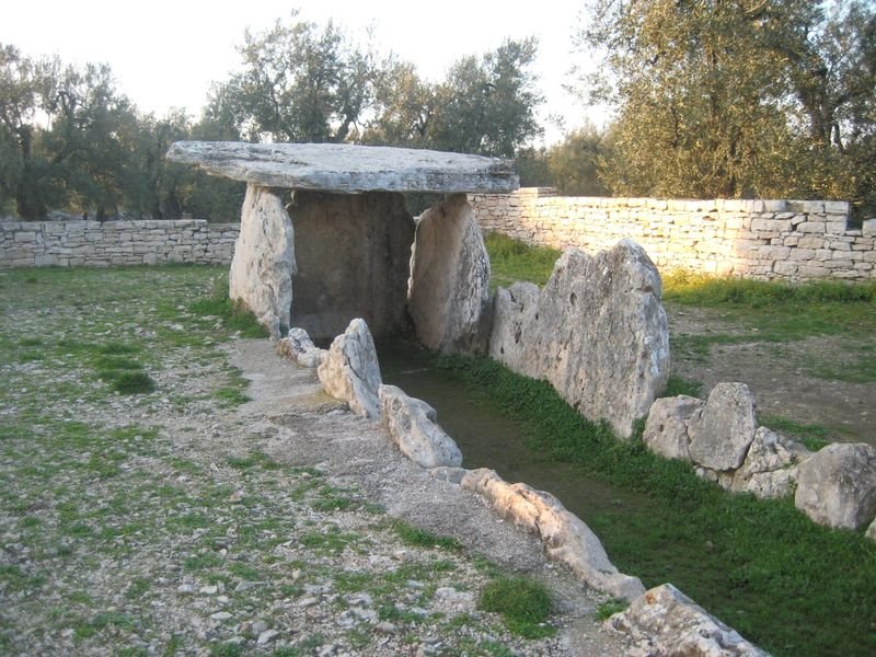 Foglie D'Acqua - 2