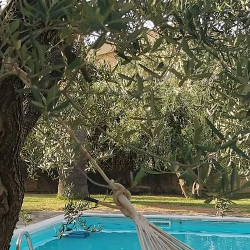 La Ginestra - 2