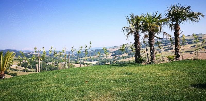 Azienda Agrituristica La Mongolfiera Di Cocchiarella Irma - Fragneto Monforte