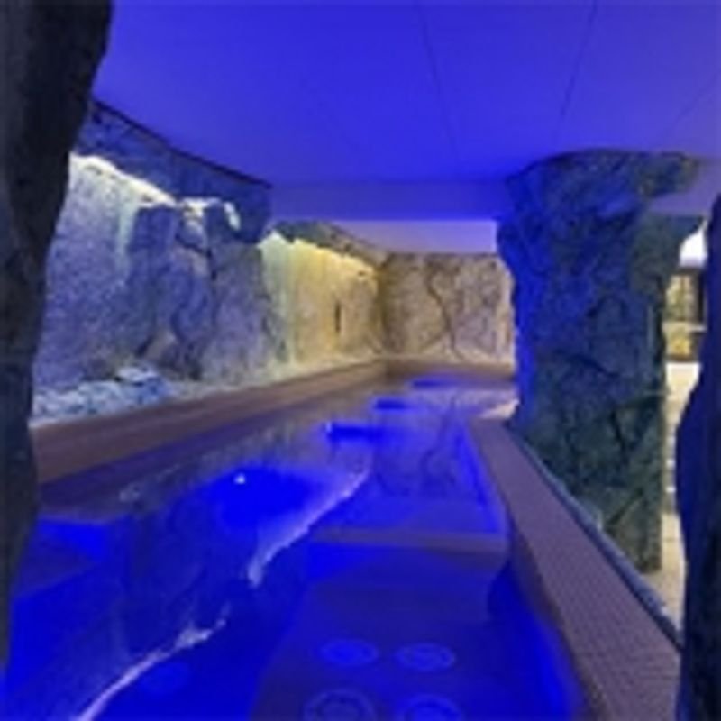 Terme San Petronio - Antalgik - Bologna