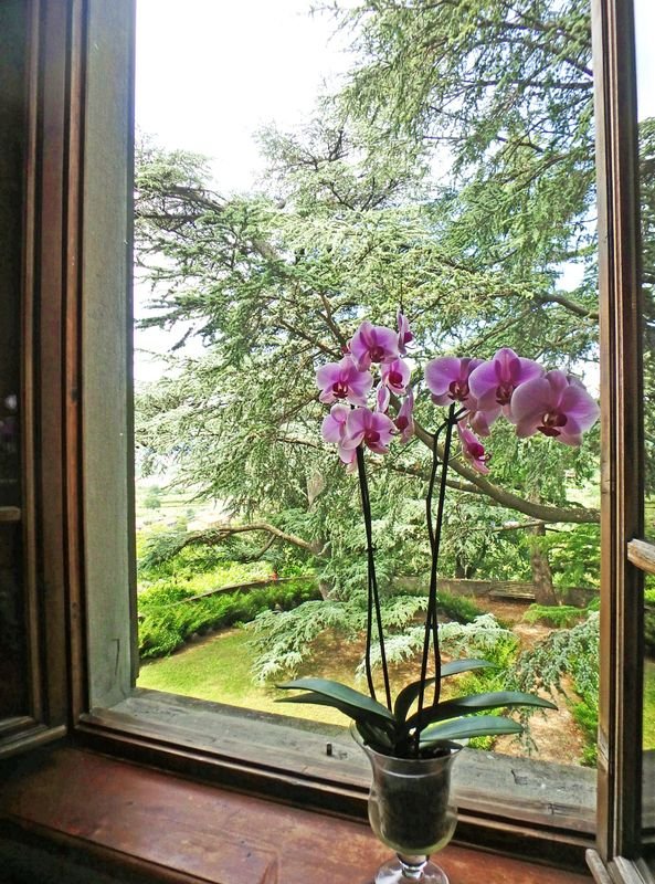 Villa San Simone - 3