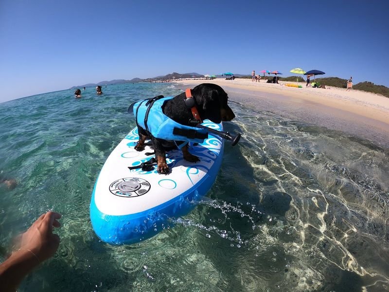 Tiliguerta Dog Beach - 3