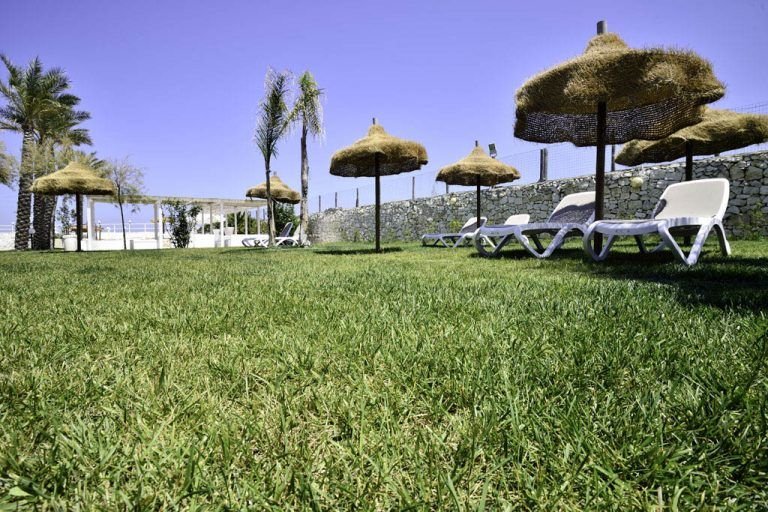 Bahia Beach - 5